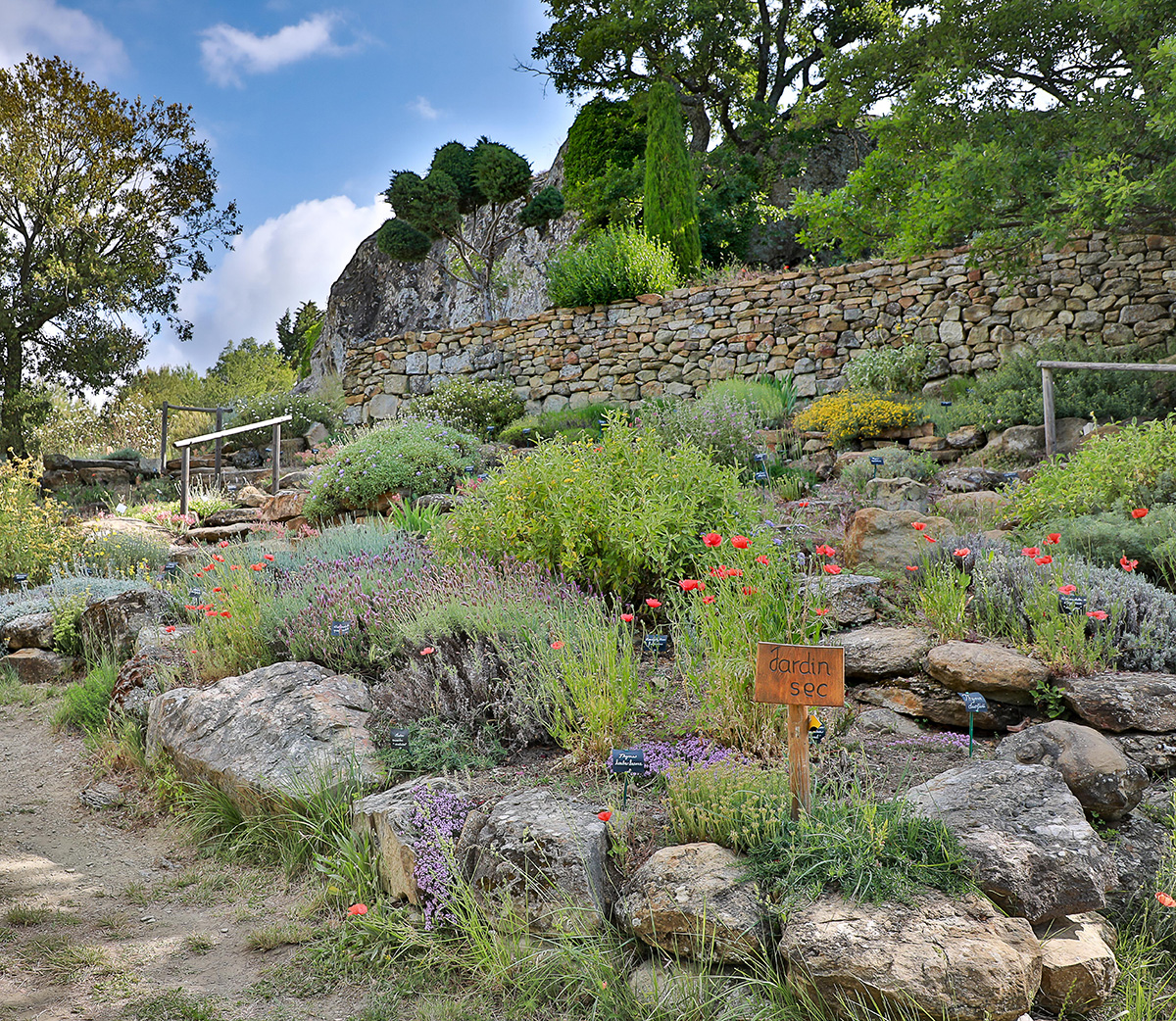 Jardins-Printemps-06-06-2019-(10)