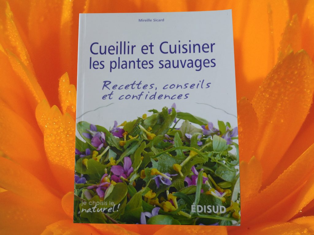 Les herbes sauvages comestibles - Le Jardin de l'Abbaye de Valsaintes