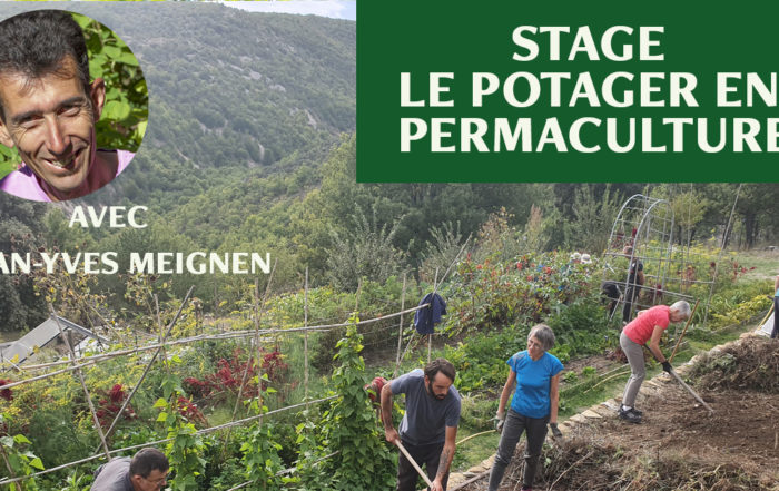 stage le potager en permaculture