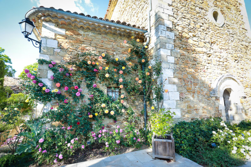 Jardin-Printemps-30-05-2019–(135)