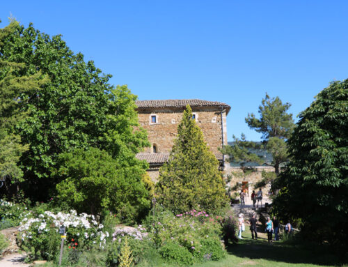 Photos du jardin de l’abbaye de Valsaintes