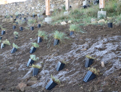 Les conseils jardin du mois – Septembre / Octobre 2025