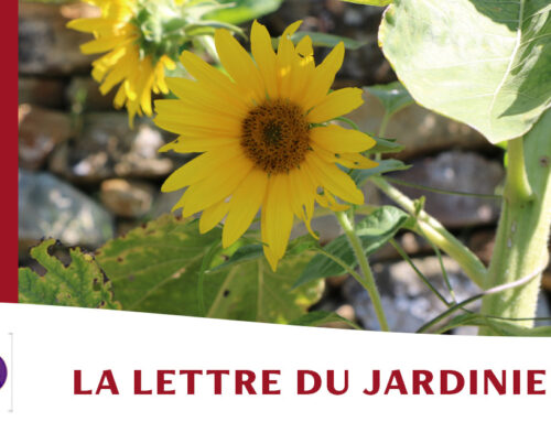 Jardin de l’abbaye de Valsaintes – La lettre du jardinier Août 2023