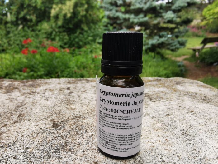 Huile essentielle Cryptomeria japonica 10ml