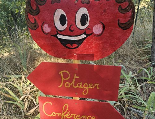 La fête de la tomate