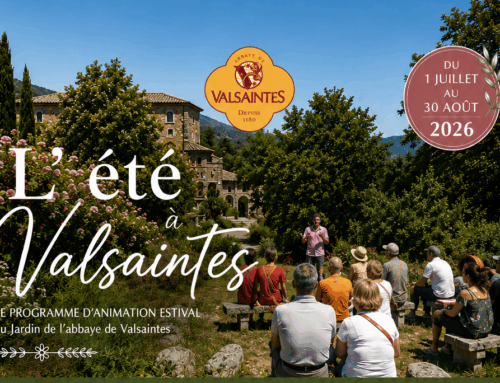 L&rsquo;été à Valsaintes