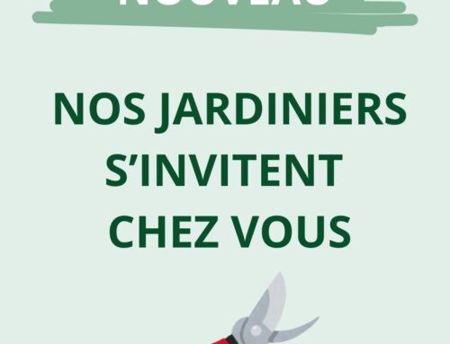 Nouveau : Les experts jardin de Valsaintes s’invitent chez vous ! Conseils et coaching jardin