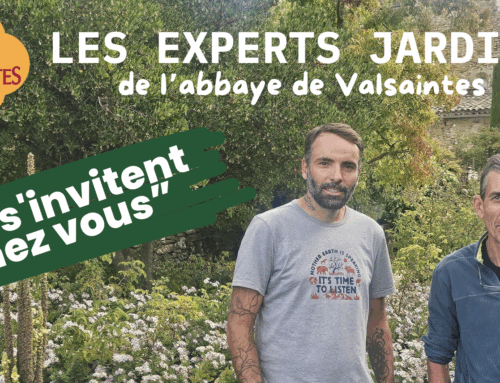 Nouveau : Les experts jardin de Valsaintes s’invitent chez vous ! Conseils et coaching jardin