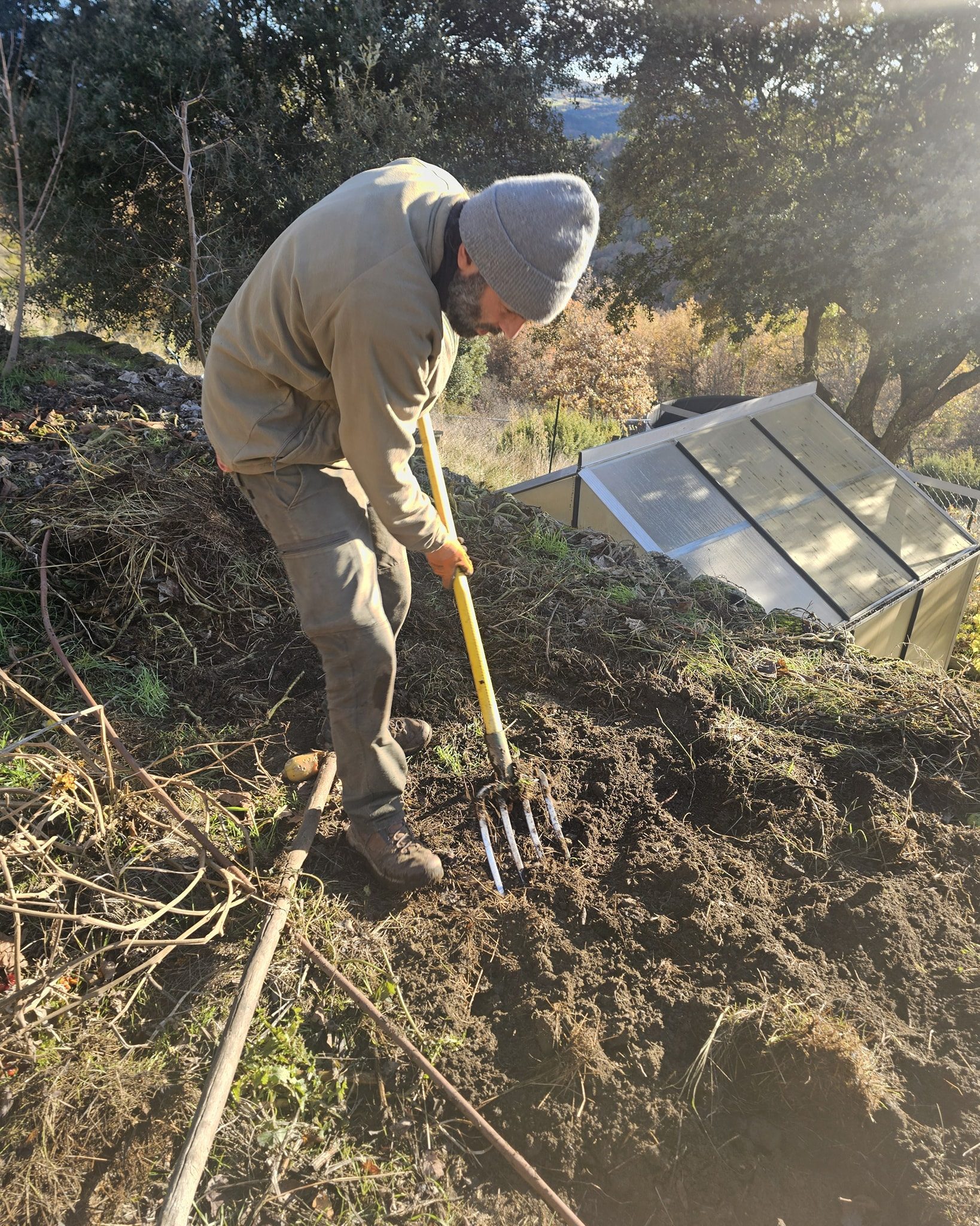 recolte patates douces valsaintes permaculture