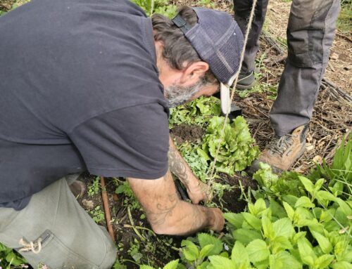 Les jardiniers au fil des saisons – Mai 2026