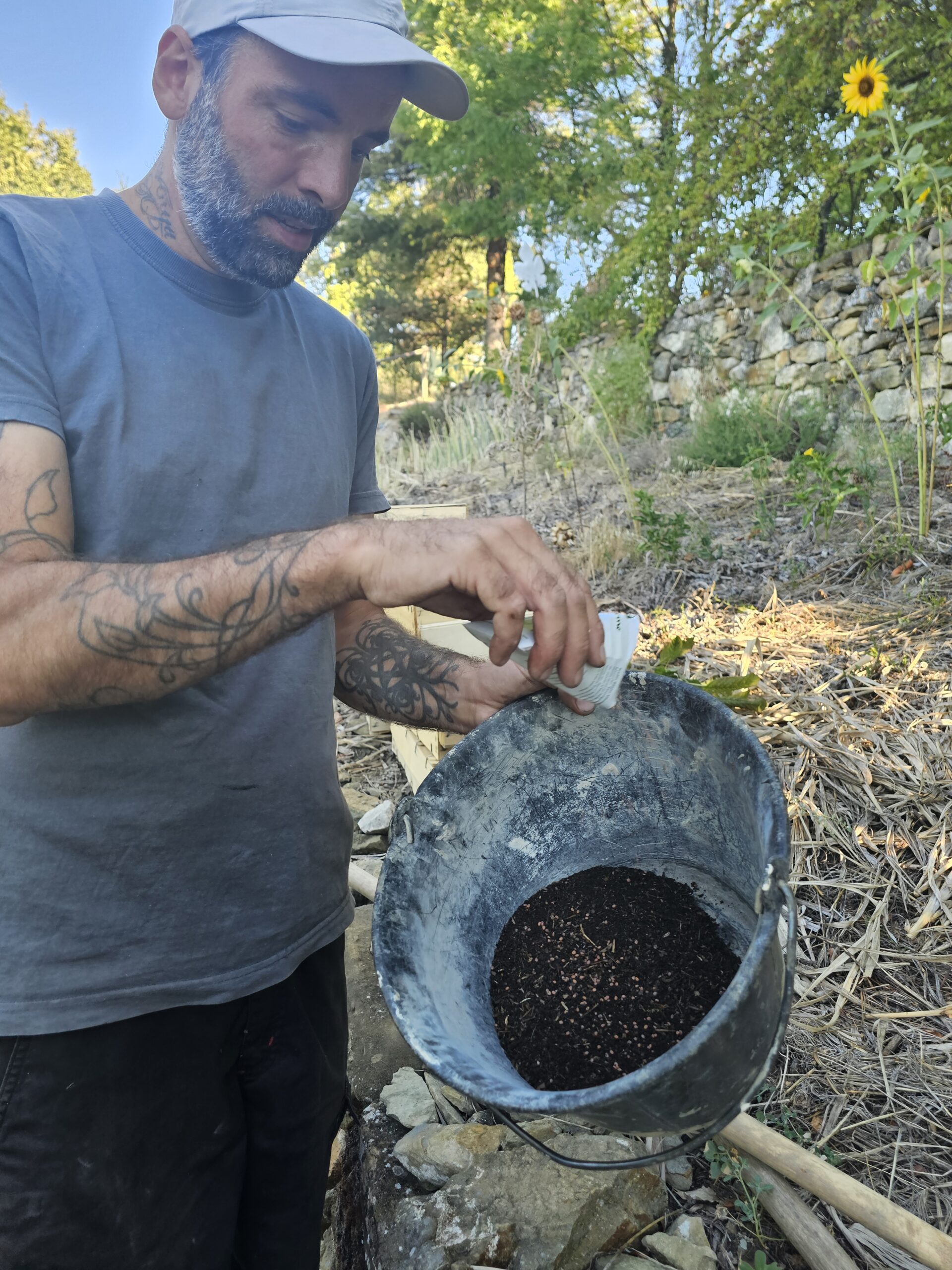Plantation au potager de valsaintes – potager en permaculture