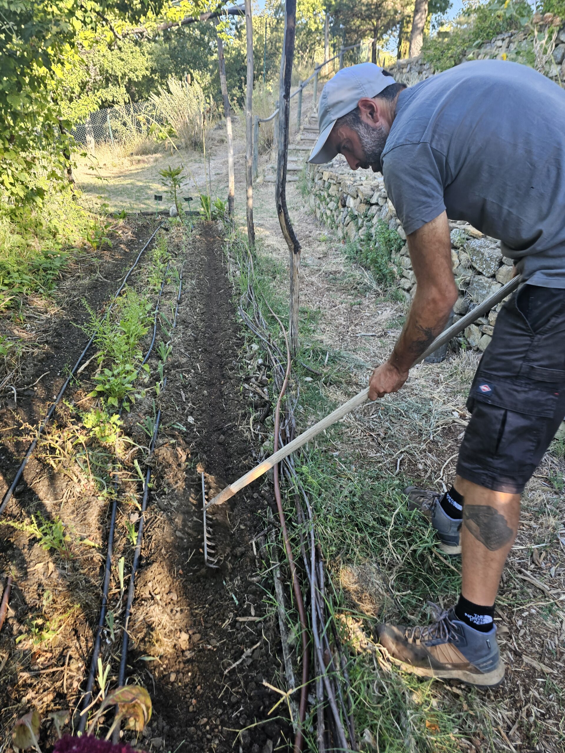Semis eu potager en permaculture de valsaintes