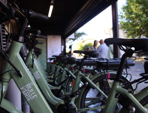 À vélo électrique depuis le Jardin de l’abbaye de Valsaintes : explorez la Provence autrement