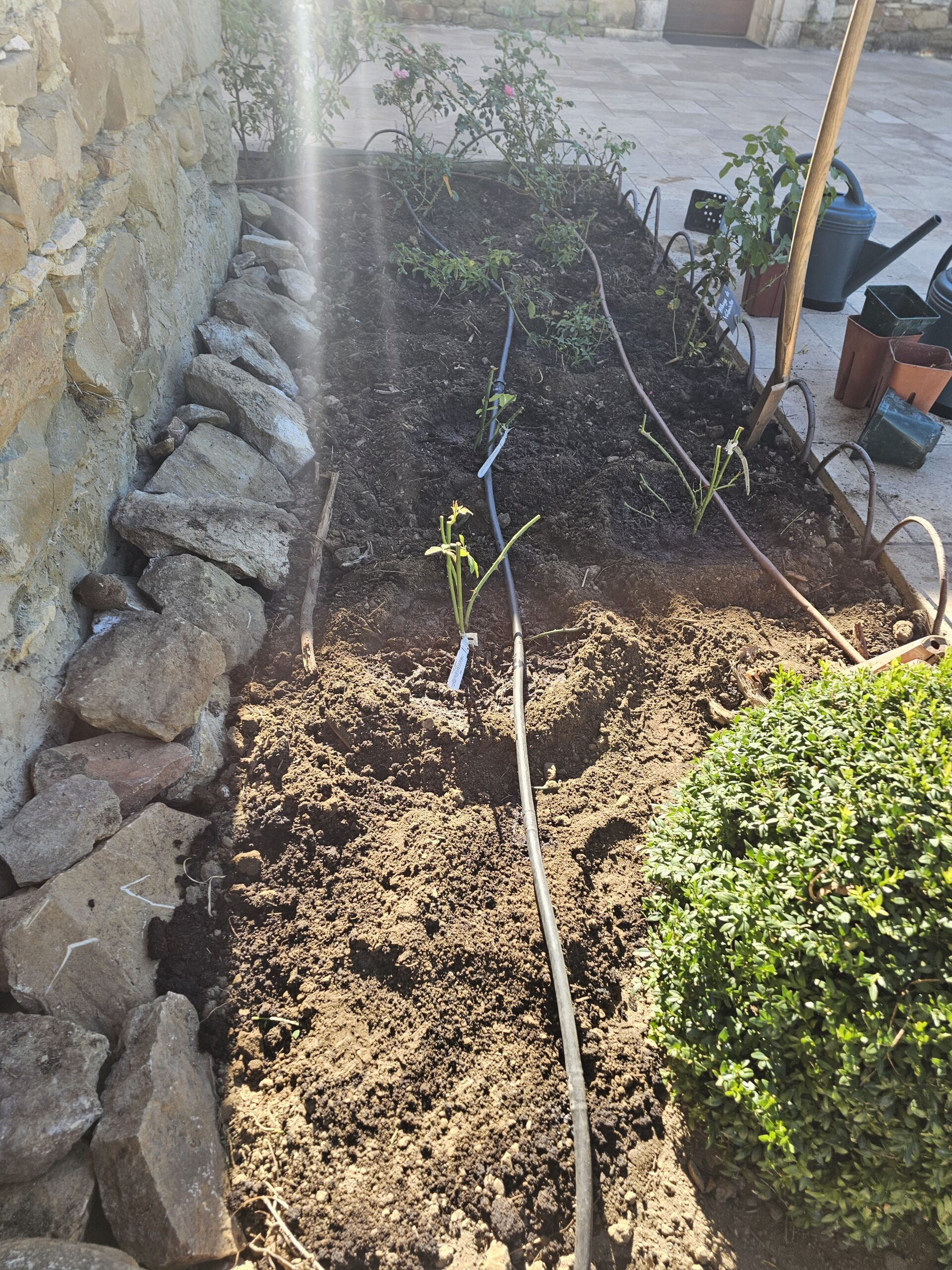 jardiniers valsaintes , jardin remarquable en haute provence